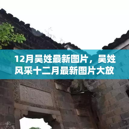 十二月吳姓風(fēng)采展示，最新圖片大放送，絕美瞬間一網(wǎng)打盡