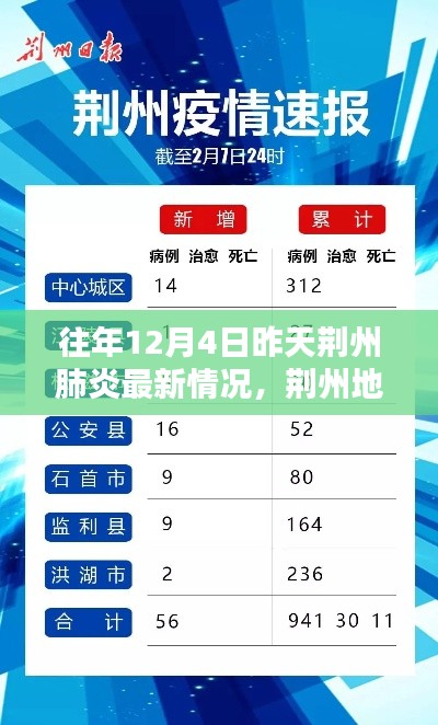 荊州地區(qū)往年12月4日昨日肺炎最新情況回顧與影響分析，回顧與啟示