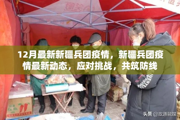 新疆兵團疫情最新動態(tài)，共筑防線，應對挑戰(zhàn)的挑戰(zhàn)