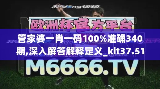 管家婆一肖一碼100%準(zhǔn)確340期,深入解答解釋定義_kit37.513-4