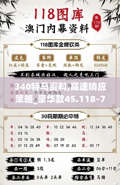 340特馬資料,高速響應(yīng)策略_豪華款45.118-7