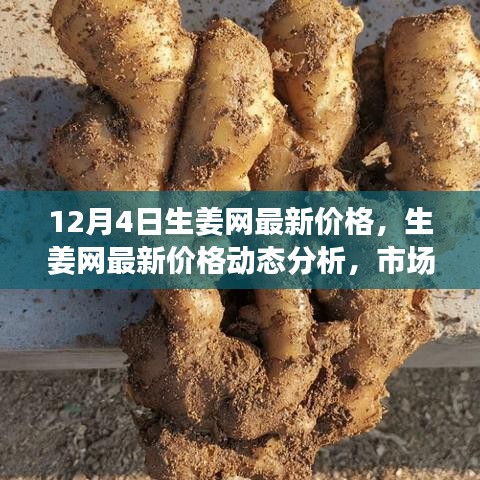 12月4日生姜網(wǎng)價格更新，市場動態(tài)分析與觀點碰撞
