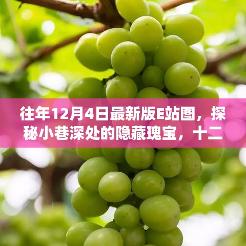 探秘十二月最新版E站圖，小巷深處的隱藏瑰寶與創(chuàng)意空間