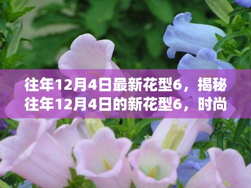 揭秘往年12月4日新花型6，時(shí)尚變遷與流行趨勢深度解讀