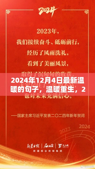 溫暖重生，2024年12月4日的語言之光與情感暖流