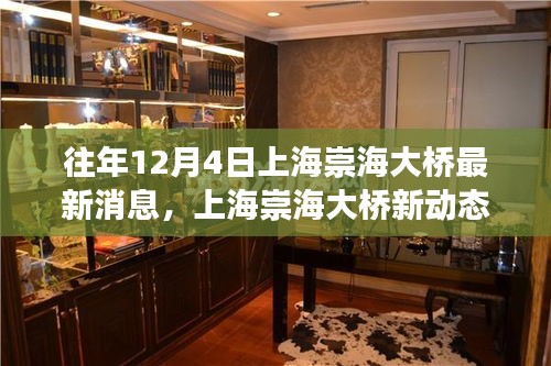 上海崇海大橋新動(dòng)態(tài)，與自然美景的邂逅之旅揭秘最新消息