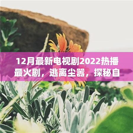 心靈之旅，逃離塵囂，探秘自然美景——2022年熱播電視劇最新盤點(diǎn)