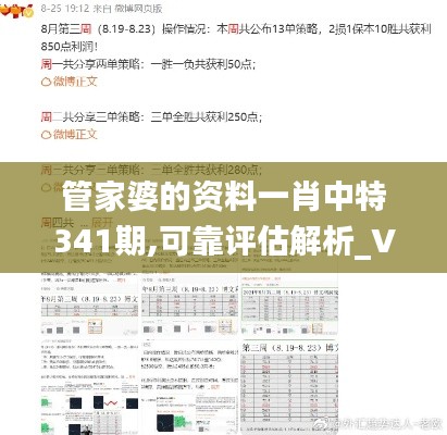 管家婆的資料一肖中特341期,可靠評估解析_VR3.850
