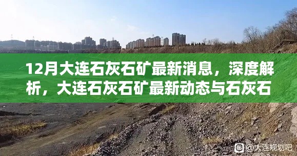 大連石灰石礦最新動(dòng)態(tài)與產(chǎn)品特性深度解析，12月消息速遞