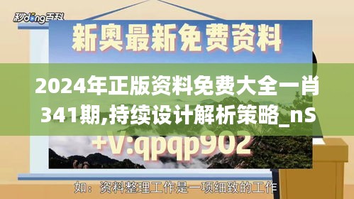 2024年正版資料免費大全一肖341期,持續(xù)設(shè)計解析策略_nShop4.773