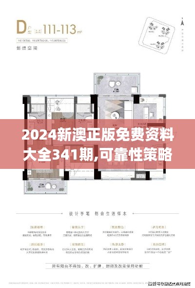 2024新澳正版免費(fèi)資料大全341期,可靠性策略解析_VR10.790