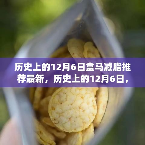 歷史上的12月6日，盒馬減脂引領(lǐng)健康之旅，勵志成就感的自信之旅