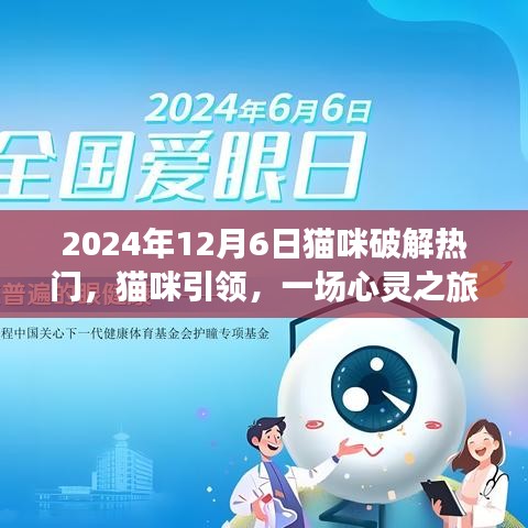 貓咪引領的心靈之旅，熱門貓咪時光探索記