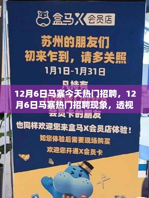 12月6日馬寨熱門招聘現(xiàn)象深度解析，利弊與個(gè)人觀點(diǎn)透視