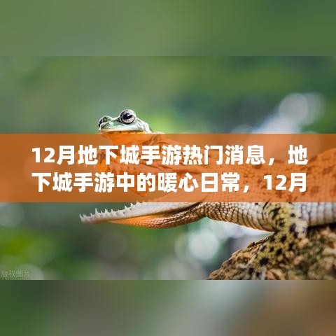 12月地下城手游，暖心日常與友情陪伴的時(shí)光
