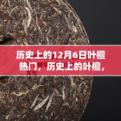 葉檀，歷史上的傳奇人物與熱門話題，12月6日的獨特印記回顧
