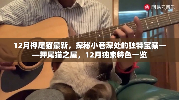 探秘押尾貓之屋，小巷深處的獨(dú)特寶藏，揭秘十二月獨(dú)家特色
