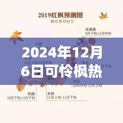 紀(jì)念特殊時(shí)刻，可憐楓熱背后的故事與影響——2024年12月6日時(shí)光印記
