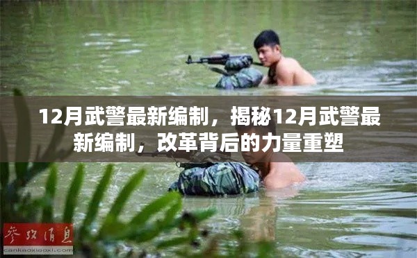 揭秘，12月武警最新編制與力量重塑背后的改革之路