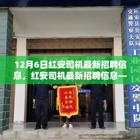 紅安司機(jī)最新招聘信息發(fā)布，求職要點解析與求職指南（12月6日更新）