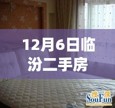 揭秘臨汾二手房市場，熱門房源探秘與小巷深處的隱藏寶藏