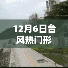 全面步驟指南，追蹤和理解12月6日臺風熱門形成的胚胎過程