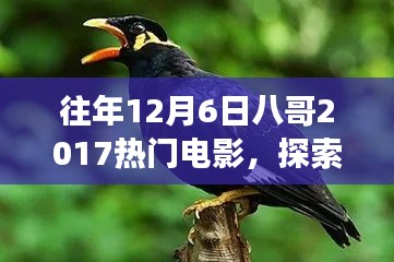 八哥帶你探索熱門電影與自然美景，找回內(nèi)心的平靜與喜悅之旅