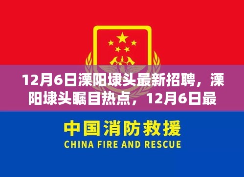 12月6日溧陽(yáng)埭頭最新招聘信息揭秘，矚目熱點(diǎn)崗位一網(wǎng)打盡