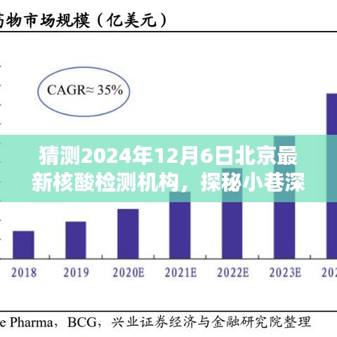 探秘北京隱藏版核酸檢測機構(gòu)，2024年12月6日最新核酸檢測寶藏揭秘