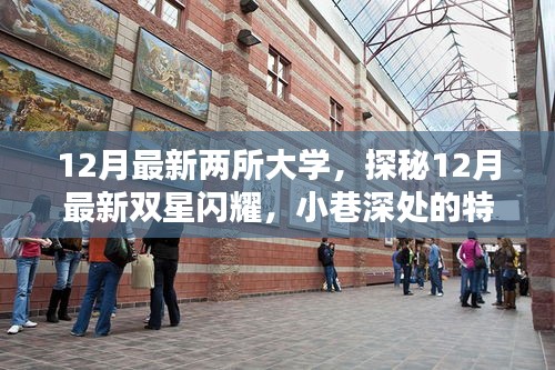 探秘最新雙星閃耀，揭秘十二月新大學與小巷特色小店中的隱藏時光