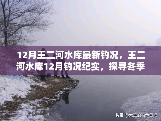 探尋冬季垂釣奧秘與魅力，王二河水庫12月釣況紀(jì)實(shí)