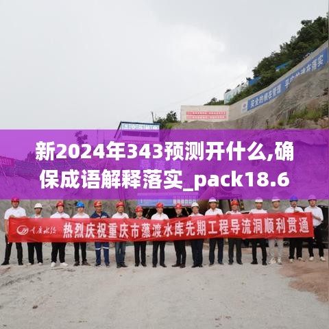 新2024年343預(yù)測(cè)開什么,確保成語解釋落實(shí)_pack18.672