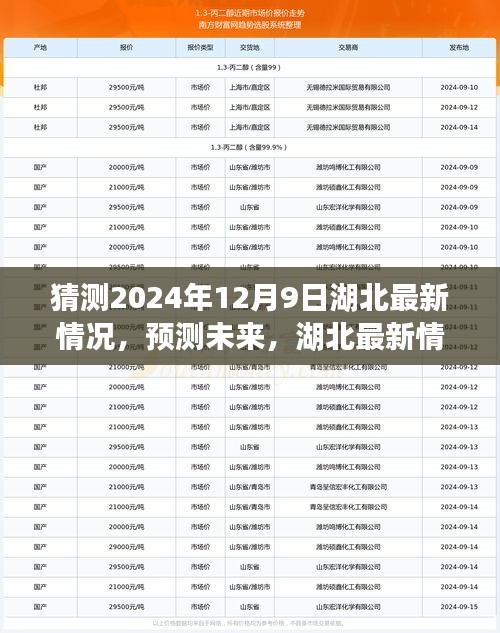 湖北未來展望，以2024年12月9日觀察節(jié)點(diǎn)預(yù)測(cè)湖北最新情況展望