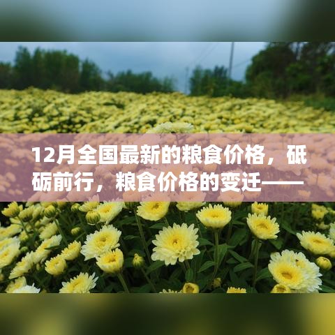 砥礪前行見證變遷，12月全國最新糧食價格及其背后的勵志故事。