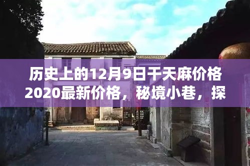 揭秘歷史麻價(jià)傳奇，探尋秘境小巷中的千年麻制品源頭與干天麻最新價(jià)格動態(tài)（XXXX年）