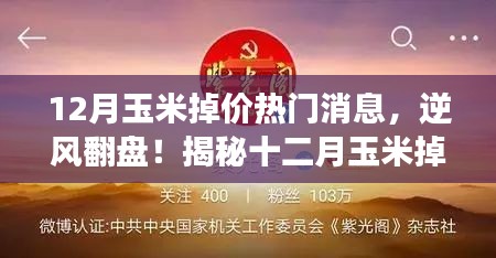 揭秘十二月玉米掉價背后的故事，逆風(fēng)翻盤，成就無限可能！