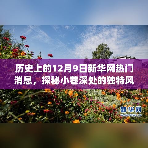 探秘小巷深處的獨(dú)特風(fēng)味，歷史上的十二月九日新華網(wǎng)熱門消息深度解析