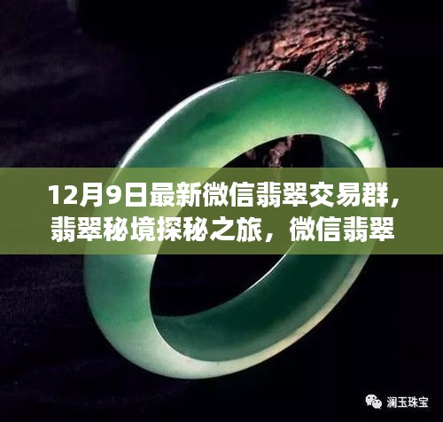 翡翠秘境探秘之旅，微信交易群新啟程與自然美景共舞