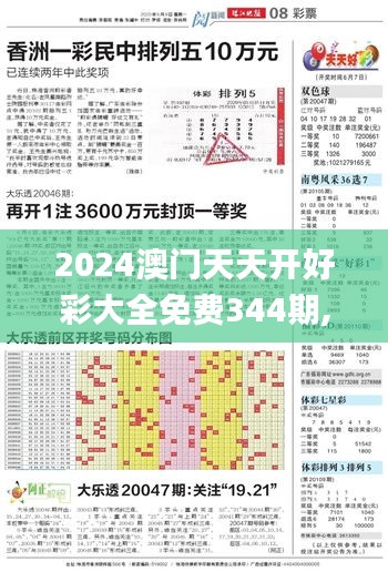 2024澳門天天開好彩大全免費344期,經(jīng)典解釋落實_WP110.200