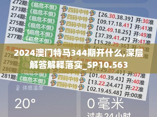 2024澳門特馬344期開什么,深層解答解釋落實(shí)_SP10.563