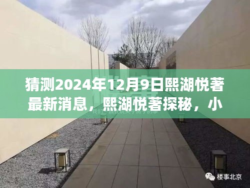 猜測2024年12月9日熙湖悅著最新消息，熙湖悅著探秘，小巷深處的獨特風味，2024年最新消息揭秘