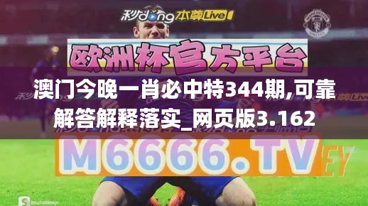 澳門(mén)今晚一肖必中特344期,可靠解答解釋落實(shí)_網(wǎng)頁(yè)版3.162