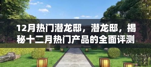 潛龍邸揭秘，十二月熱門產(chǎn)品全面評(píng)測(cè)與深度介紹