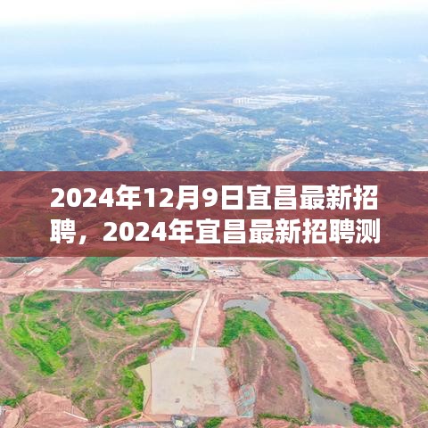 2024年12月9日宜昌最新招聘，2024年宜昌最新招聘測評報告