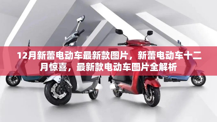 12月新蕾電動(dòng)車最新款圖片全解析，新蕾十二月驚喜，領(lǐng)略最新款電動(dòng)車風(fēng)采