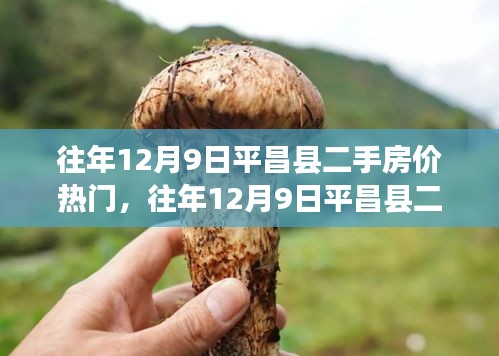 往年12月9日平昌縣二手房價(jià)解析，熱門趨勢與市場洞察