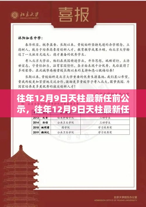天柱最新任前公示詳解，流程步步為贏，助力輕松完成公示任務(wù)