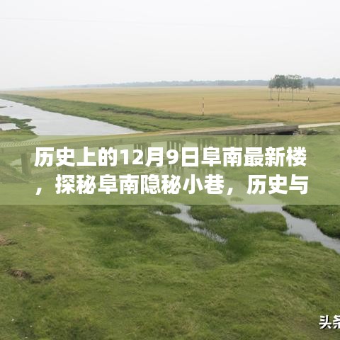 探秘阜南隱秘小巷，最新樓的歷史與美食交匯點(diǎn)——12月9日阜南最新樓揭秘之旅