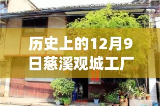 慈溪觀城工廠招聘盛況，舊日崗位與自然美景的探索之旅