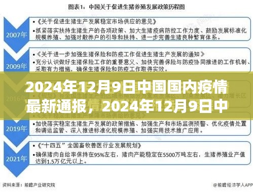 2024年12月9日中國疫情最新通報詳解，了解現(xiàn)狀與應對措施